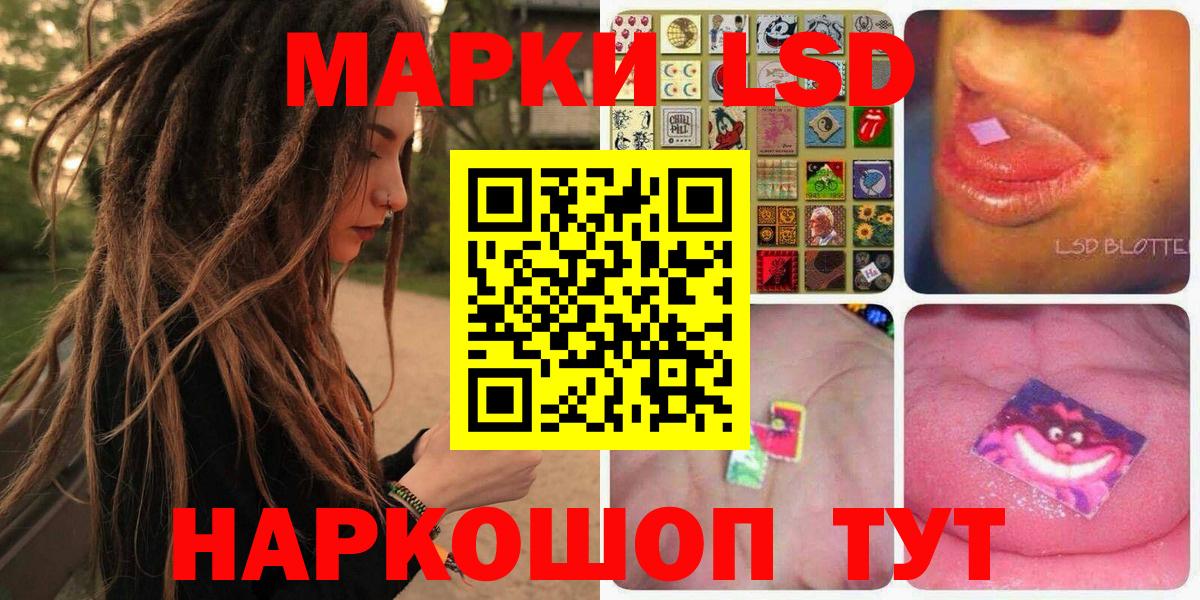 Галлюциногенные грибы Москва