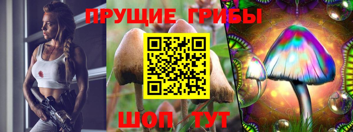 Москва  Псилоцибиновые грибы Cubensis  Вход с VPN 