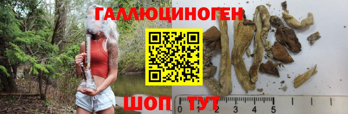 Псилоцибиновые грибы мицелий Москва